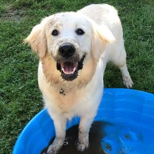 Meet your Posher, Keri